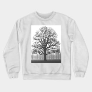 nature environmental awareness black and white tree silhouette Crewneck Sweatshirt